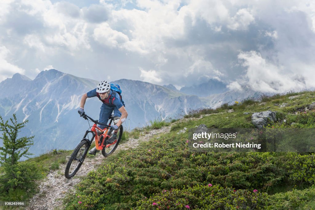 Mountain biker riding on uphill in alpine landscape, Trentino-Alto Adige, Italy