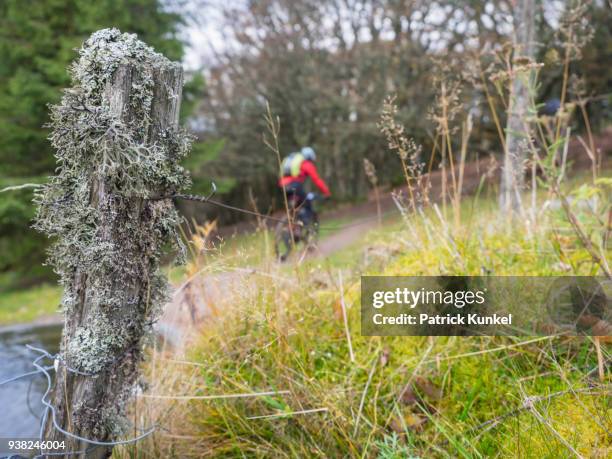 man riding electric mountain bike on cycling tour in the vosges, france - ruhige szene 個照片及圖片檔