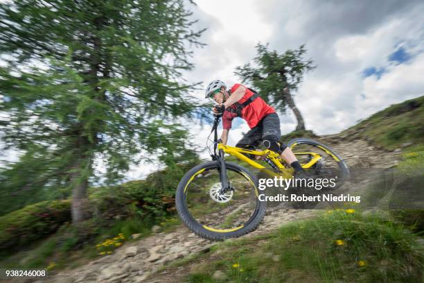 mountain biker riding down hill on forest path, trentino-alto adige, italy - geschwindigkeit stockfoto's en -beelden