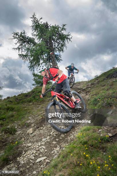 mountain bikers riding down hill on forest path, trentino-alto adige, italy - geschwindigkeit stockfoto's en -beelden