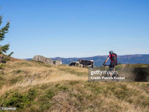 man riding electric mountain bike on cycling tour in the vosges, france - radfahren stockfoto's en -beelden