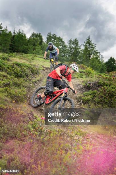 mountain bikers riding down hill on forest path, trentino-alto adige, italy - junger erwachsener stock pictures, royalty-free photos & images