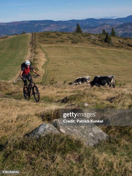 man riding electric mountain bike on cycling tour in the vosges, france - geschwindigkeit stockfoto's en -beelden