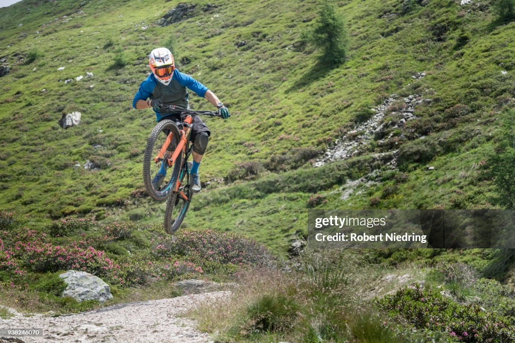 Mountain biker jumping with speed on forest path, Trentino-Alto Adige, Italy
