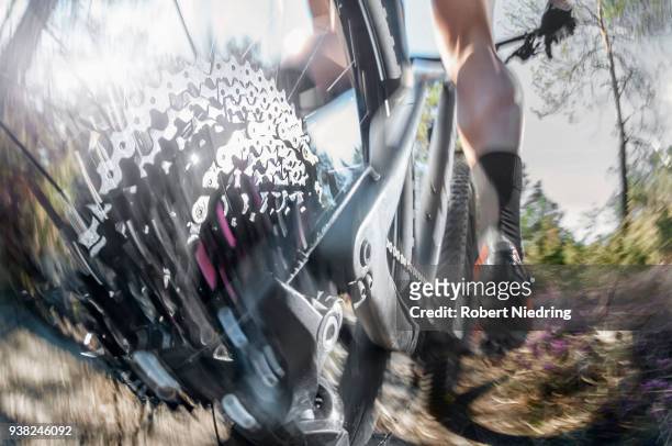 low section of mountain biker speeding on forest track, bavaria, germany - herausforderung photos et images de collection