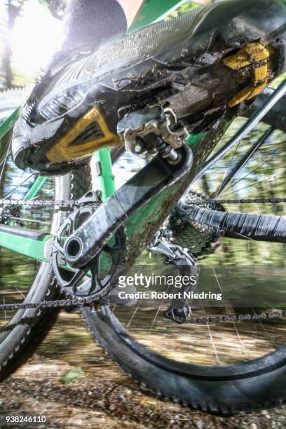 low section of mountain biker speeding on forest track, bavaria, germany - menschliches körperteil foto e immagini stock