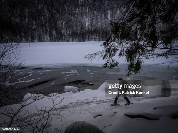 man hiking with snowshoes on the shore of lake feldsee, black forest, baden-württemberg, germany - wandern ストックフォトと画像