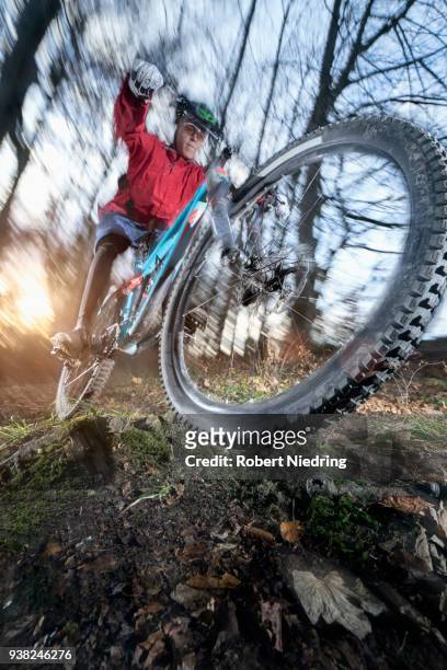 mountain biker doing a wheelie over roots, bavaria, germany - ganzkörperansicht photos et images de collection
