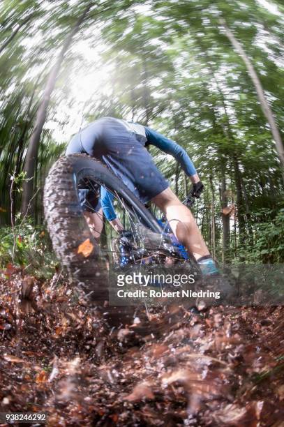 mountain biker speeding on forest track, bavaria, germany - sorglos fotografías e imágenes de stock