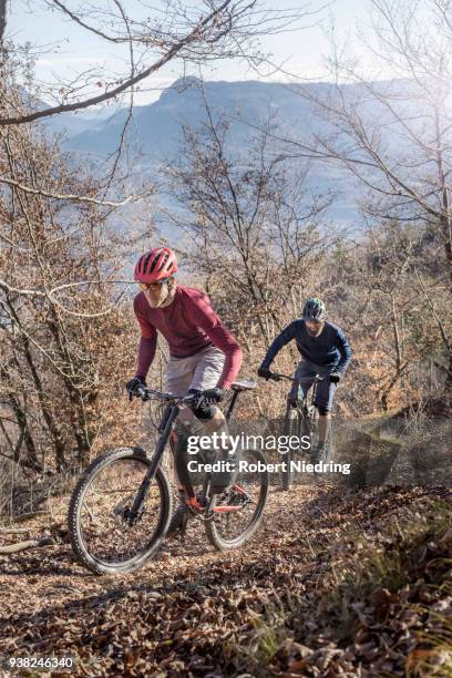 mountain bikers riding uphill in alpine landscape, trentino, italy - schutzbrille foto e immagini stock