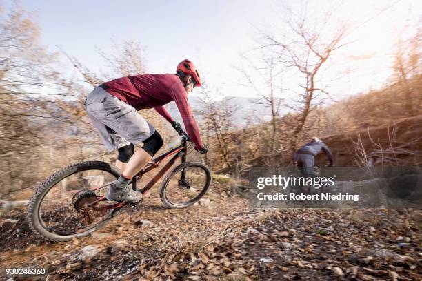 mountain bikers riding downhill in alpine landscape, trentino, italy - fahrrad fahren ストックフォトと画像