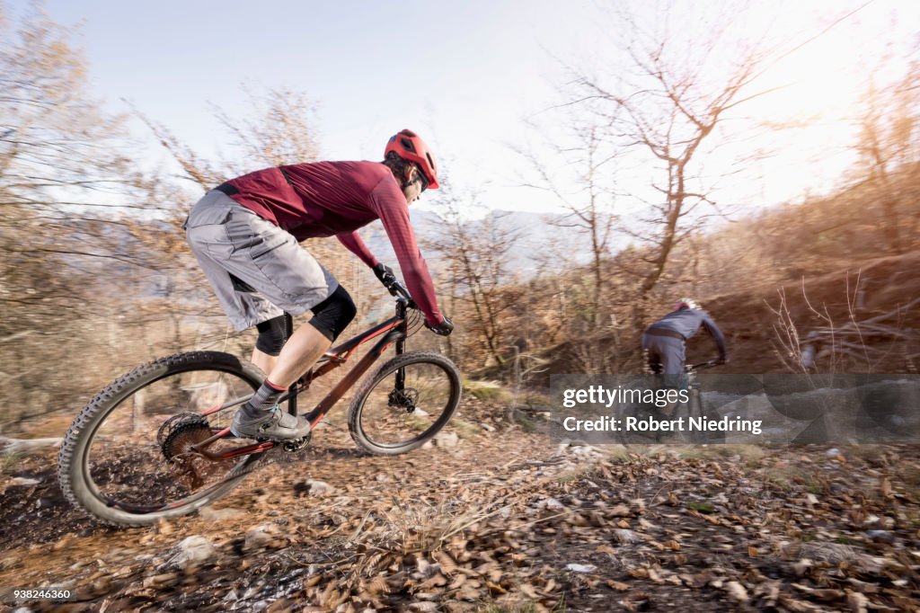 Mountain bikers riding downhill in alpine landscape, Trentino, Italy