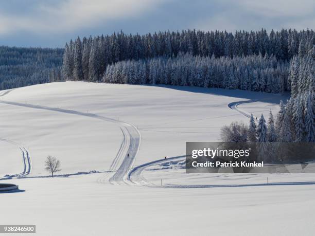 cross-country skier on ski track thurnerspur in the black forest near st. märgen, hochschwarzwald, baden-württemberg, germany - anhöhe - fotografias e filmes do acervo