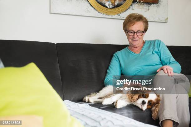 woman relaxing with cavalier king charles spaniel dog on sofa - kissen stockfoto's en -beelden