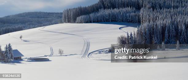 cross-country skier on ski track thurnerspur in the black forest near st. märgen, hochschwarzwald, baden-württemberg, germany - berg schnee stock pictures, royalty-free photos & images