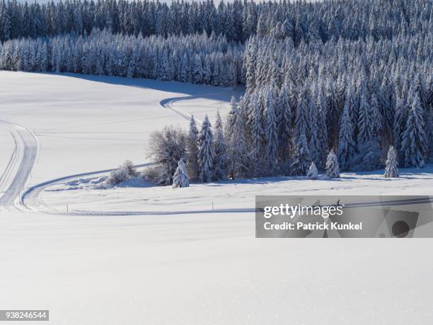 cross-country skier on ski track thurnerspur in the black forest near st. märgen, hochschwarzwald, baden-württemberg, germany - ruhige szene 個照片及圖片檔