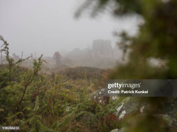 man riding electric mountain bike on single trail, vosges, france - lebensstil stockfoto's en -beelden