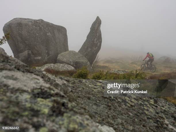 man riding electric mountain bike on single trail, vosges, france - fahrrad fahren ストックフォトと画像