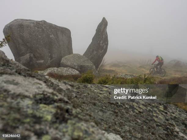 man riding electric mountain bike on single trail, vosges, france - radfahren stockfoto's en -beelden