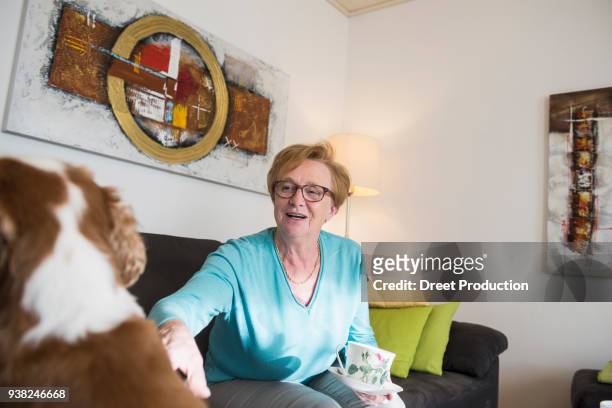 old woman and pet dog sitting on sofa at home - wohnzimmer photos et images de collection