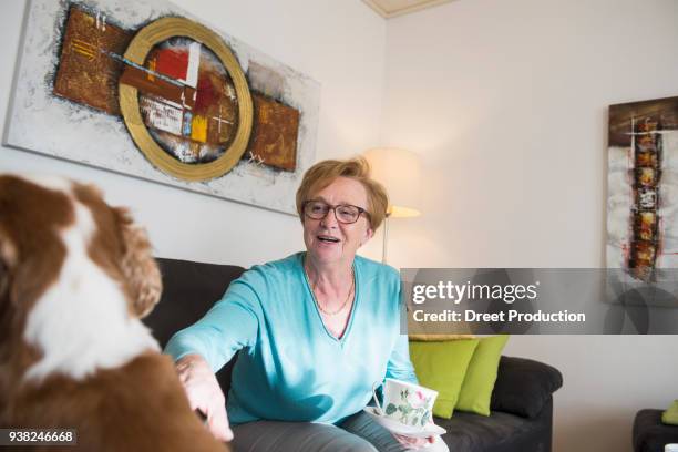 old woman and pet dog sitting on sofa at home - gemälde foto e immagini stock