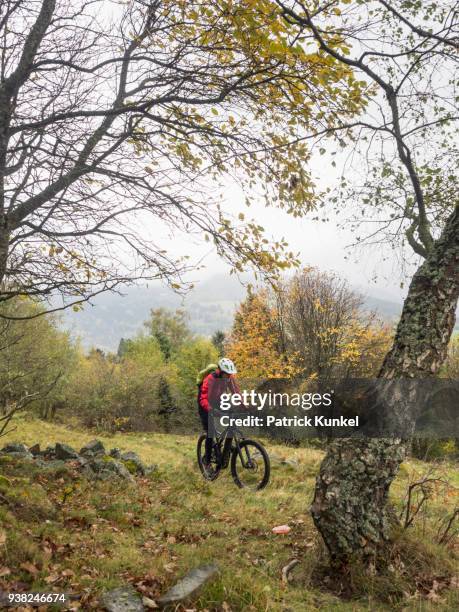 man riding electric mountain bike on single trail, vosges, france - stein fels imagens e fotografias de stock