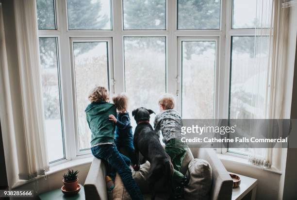Three kids looking out a large window