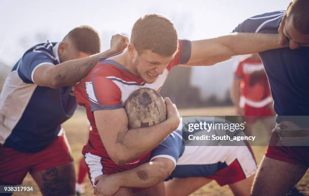 Rugby Rough 150 Sunny Wrestler Stock Photos, High-Res Pictures, and Images - Getty ...