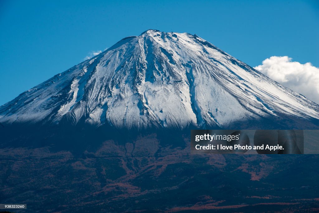 Fuji autumn scenery