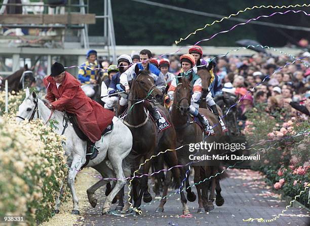 Jockey Scott Seamer is thrown from the Tooheys New Melbourne Cup winner Ethereal after the Clerk's horse was spooked by streamers from the crowd...