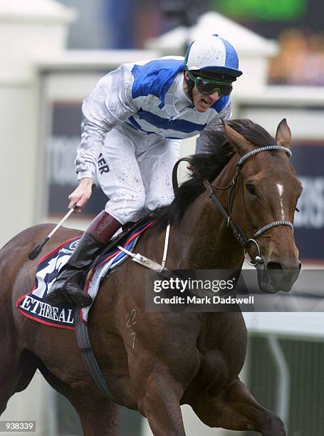 Ethereal ridden by Scott Seamer wins race 7 the Tooheys New Melbourne Cup during the Tooheys New Melbourne Cup Day held at Flemington Racecourse,...