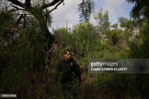 Border Patrol agent Robert Rodriguez tracks signs of illegal immigrants through thick brush near the Mexico border in the Rio Grande Valley Sector on...