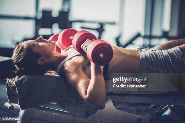 athletic woman having a weight training on a bench in a gym. - bench dedication stock pictures, royalty-free photos & images