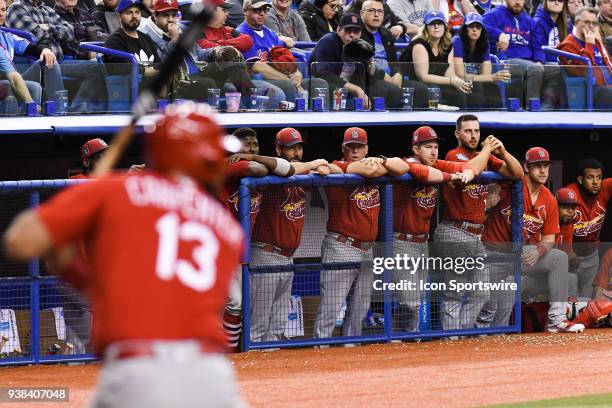 St. Louis Cardinals players watching St. Louis Cardinals infielder Matt Carpenter at bat during the St. Louis Cardinals versus the Toronto Blue Jays...