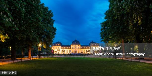 bonn - germany - wahlen stock pictures, royalty-free photos & images