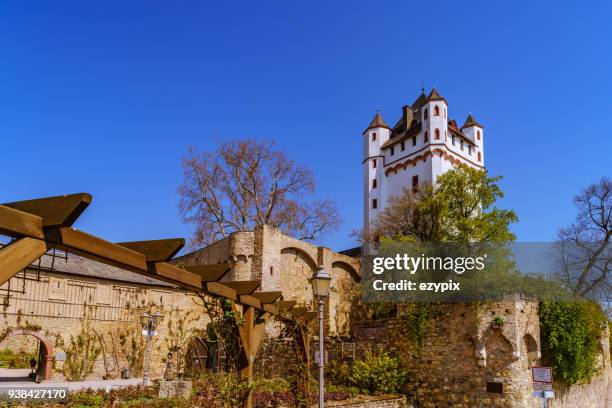 castle eltville rheingau - esplanada stock pictures, royalty-free photos & images