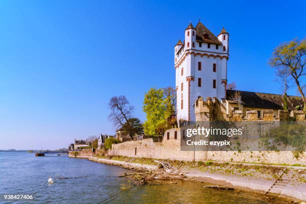 castle eltville rheingau - esplanada stock pictures, royalty-free photos & images