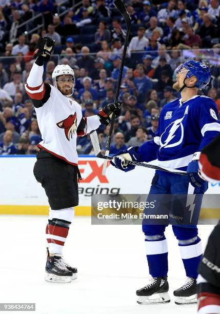 Derek Stepan of the Arizona Coyotes celebrates a goal during a game against the Tampa Bay Lightning at Amalie Arena on March 26, 2018 in Tampa,...