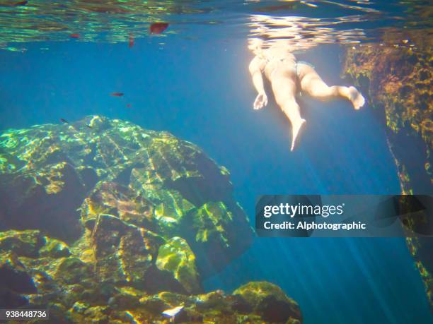 snorkeling in a cenote - underwater scene freshwater stock pictures, royalty-free photos & images