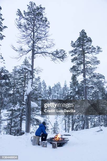 urho kekkonen national park. saariselka. finland - saariselka stock pictures, royalty-free photos & images