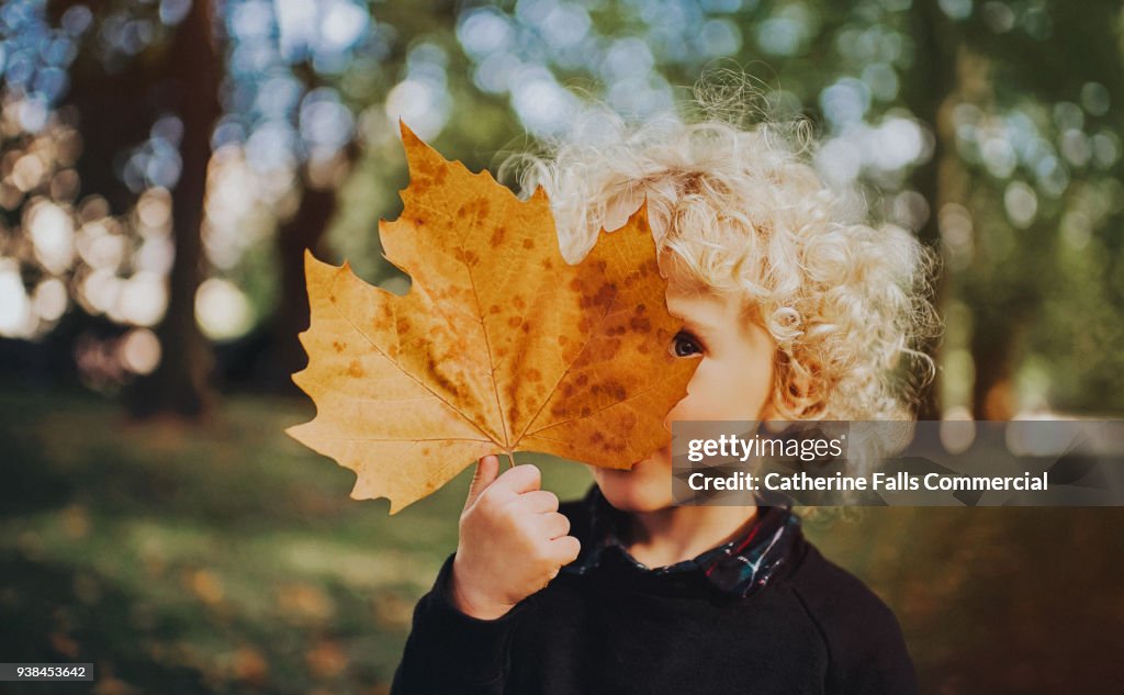 Child holding a huge leaf