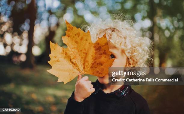 child holding a huge leaf - ottobre foto e immagini stock