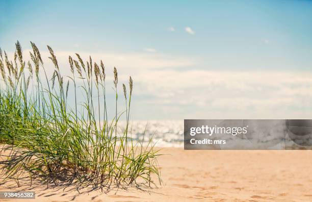 seascape - beach coastline stock pictures, royalty-free photos & images