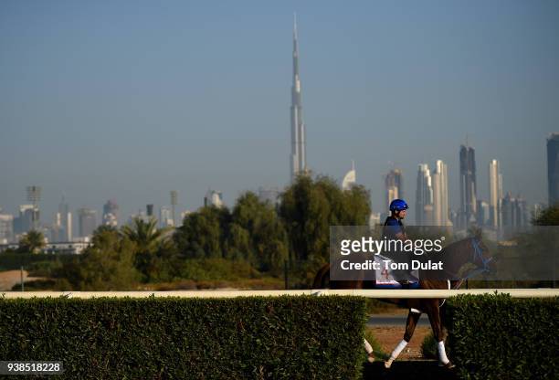 Gunnevera takes part in track work ahead of Dubai World Cup 2018 at the Meydan Racecourse on March 27, 2018 in Dubai, United Arab Emirates.