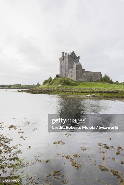 dunguaire castle, ireland - kinvara stock pictures, royalty-free photos & images