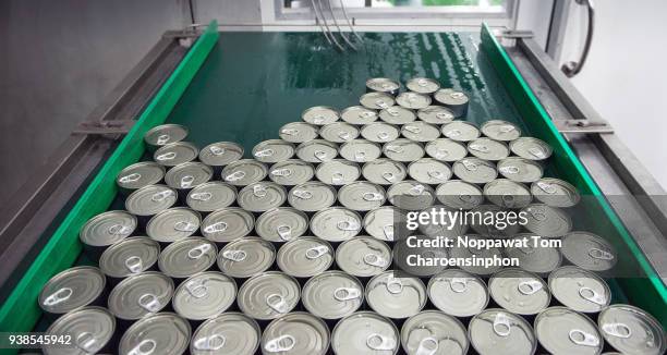 canned tuna on automatic conveyor belt, thailand - tuna seafood stock-fotos und bilder