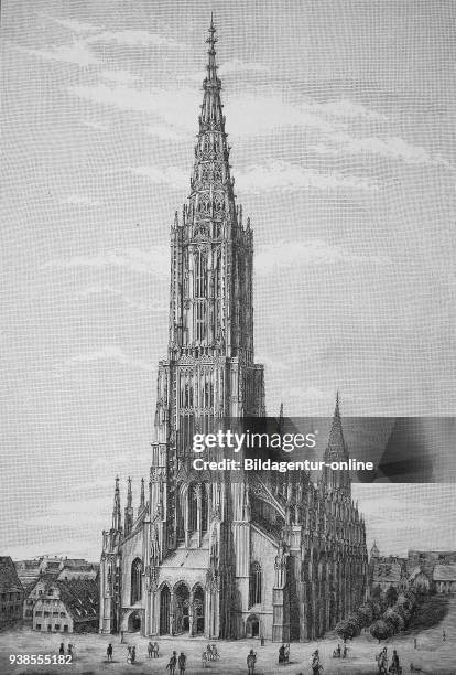 Ulm Minster, Ulmer Muenster, is a Lutheran church located in Ulm, Germany historic illustration, woodcut.