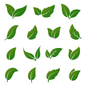 Green leaf vector icons. Spring leaves ecology symbols