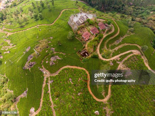 munnar tea plantation area and  road aerial view - kerala waterfall stock pictures, royalty-free photos & images
