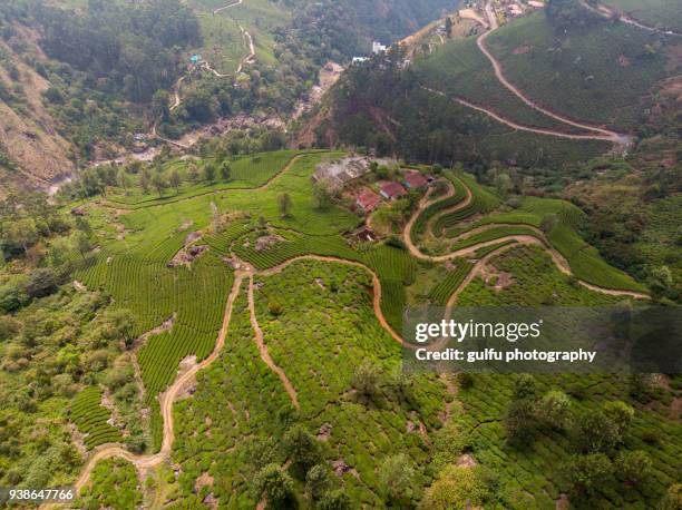 munnar tea plantation area and  road aerial view - kerala waterfall stock pictures, royalty-free photos & images